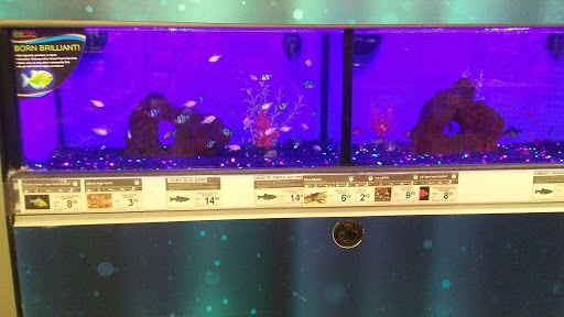 Pet Supply Store «Petco Animal Supplies», reviews and photos, 17200 Southcenter Pkwy #100, Tukwila, WA 98188, USA