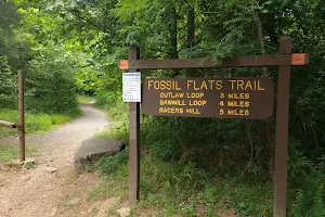 Fossil Flats Trailhead image