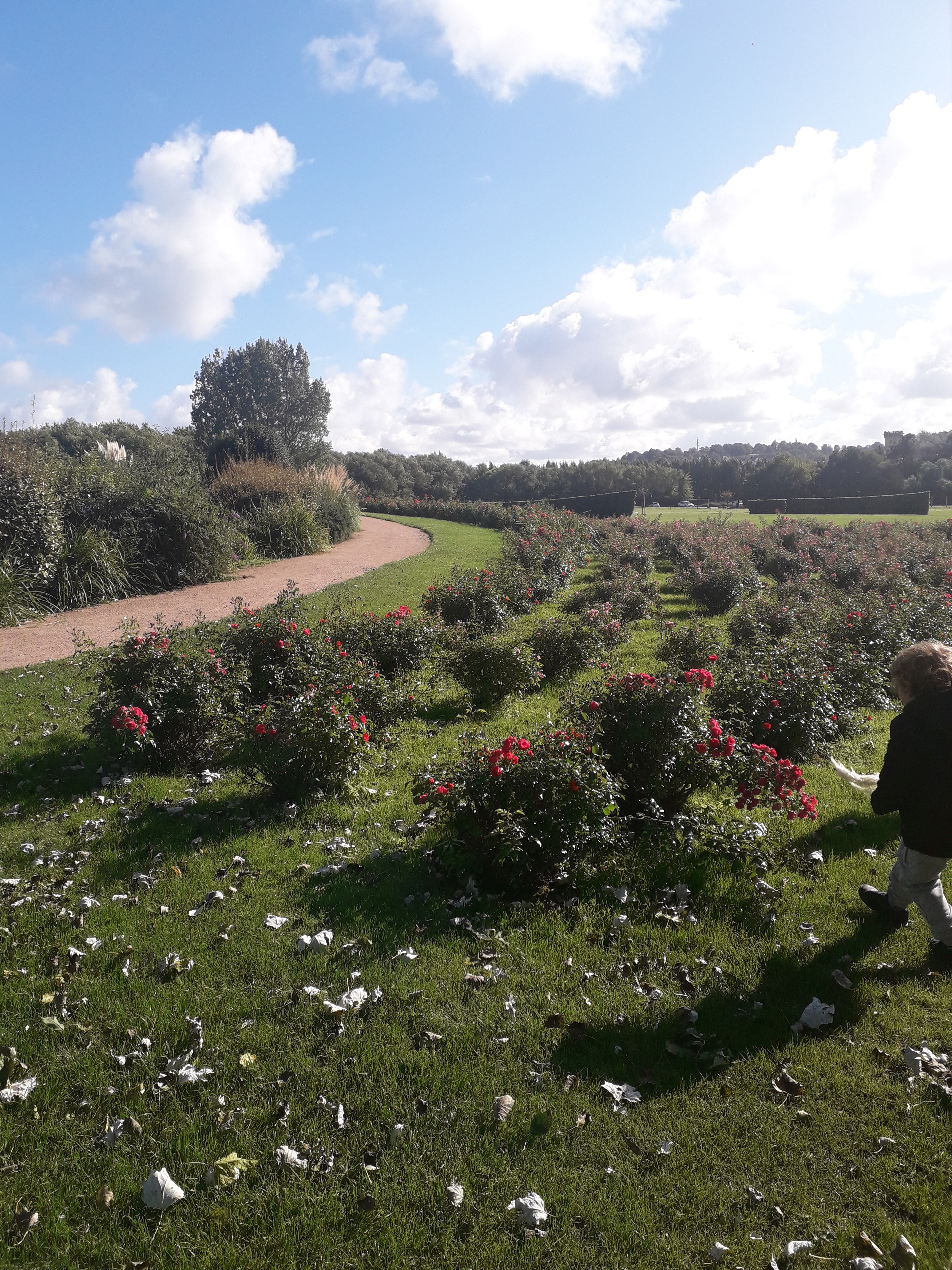 Photo n° 9 de l'avis de Socecha.4 fait le 06/10/2021 à 13:41
