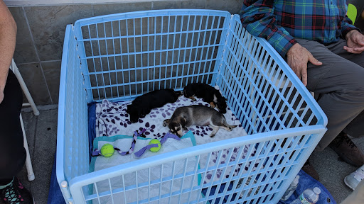 Pet Supply Store «Pet Food Express», reviews and photos, 261 Park Rd, Burlingame, CA 94010, USA