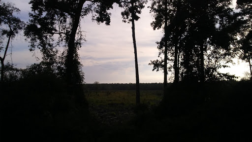 Golf Course «Witch Golf Links», reviews and photos, 1900 SC-544, Conway, SC 29526, USA