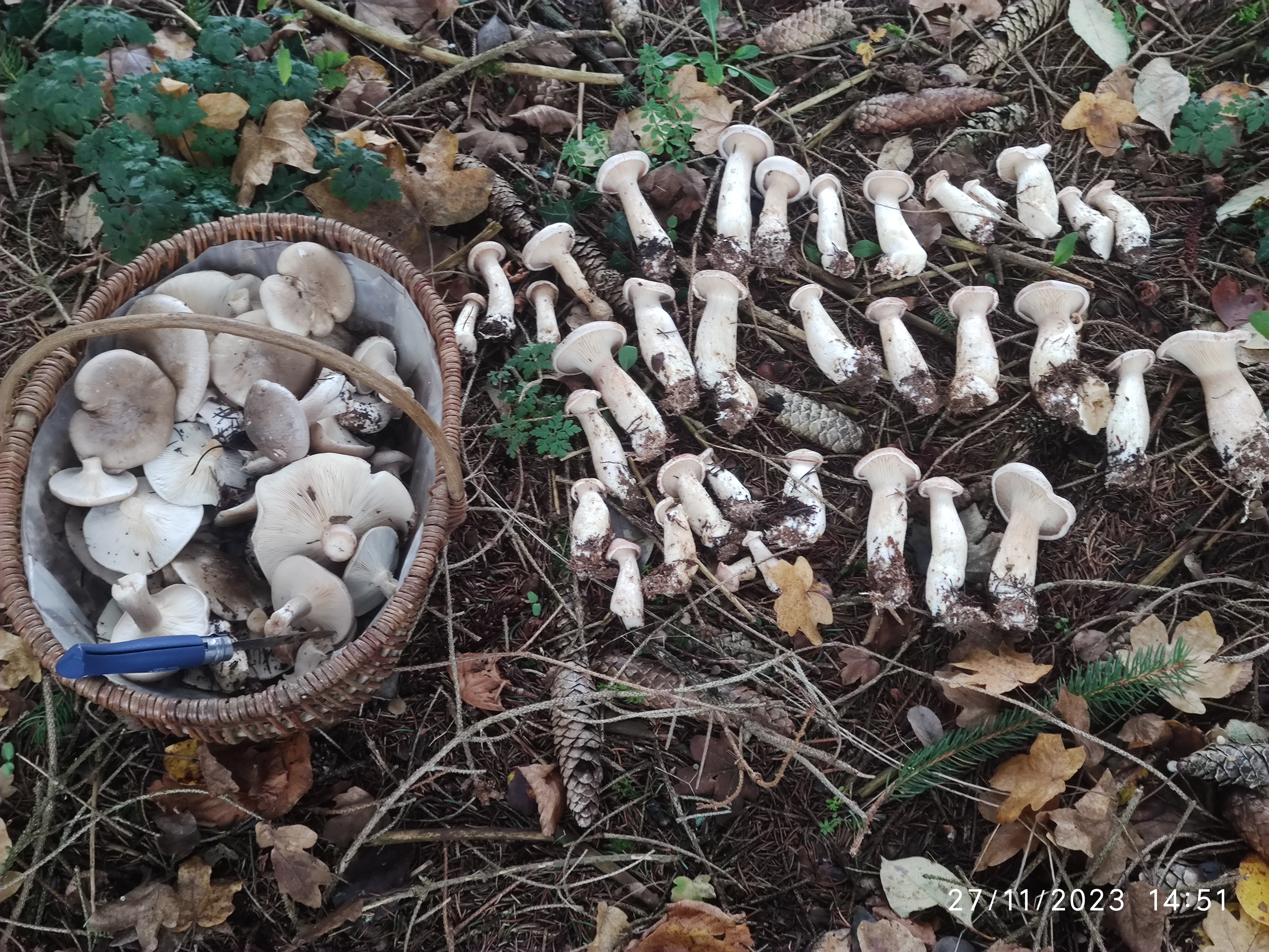 Photo n° 6 de l'avis de Patrick.i fait le 12/12/2023 à 10:07