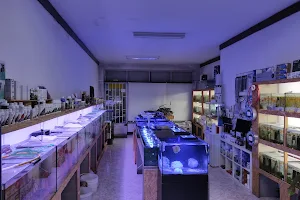 The Fish Shop image