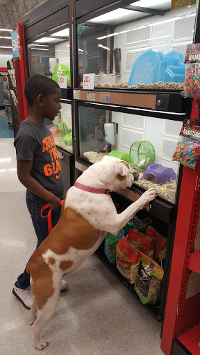 Pet Supply Store «Petco Animal Supplies», reviews and photos, 3372 Cobb Pkwy NW #300, Acworth, GA 30101, USA