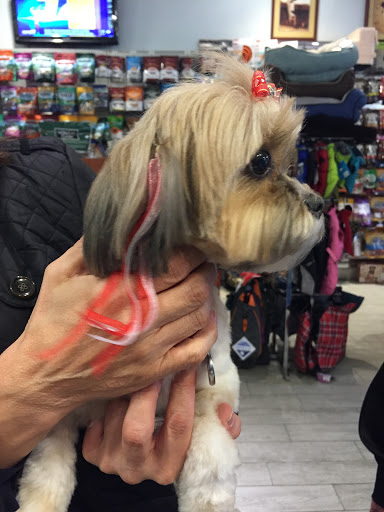 Pet Supply Store «Petport Pet Supply and Grooming Salon», reviews and photos, 40 Main St, Northport, NY 11768, USA