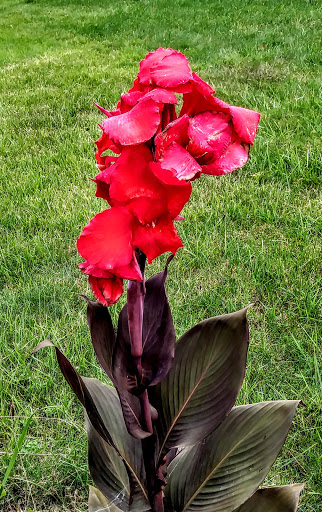 Park «Cantiague Park», reviews and photos, 480 W John St, Hicksville, NY 11801, USA