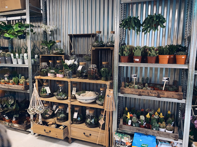 Reviews of The Horticulture plant shop in Derby - Shop