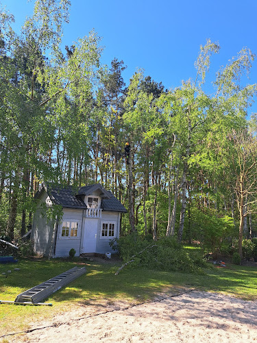 Szympek Wycinka i Pielęgnacja Drzew Frezowanie Pni - Ogrodnik