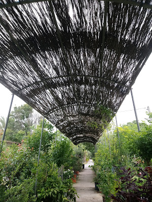 Pépinière Horticole du Midi à Perpignan