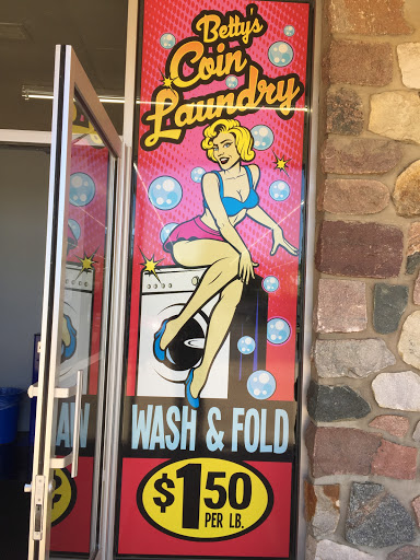 Dry Cleaner «Holly Coin Laundry & Dry Cleaners», reviews and photos, 15199 N Holly Rd, Holly, MI 48442, USA