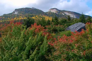 Grandfather Mountain State Park image
