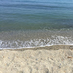 Photo n°2 de l'avis de C... fait le 12/05/2023 à 19:18 sur le  Basilico à San Bartolomeo al Mare