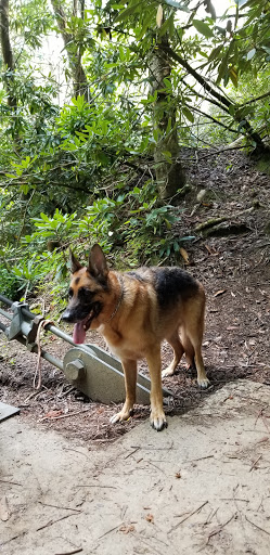 Fast Food Restaurant «Chick-fil-A», reviews and photos, 3967 Lavista Rd, Tucker, GA 30084, USA