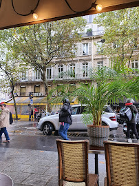 Atmosphère du Restaurant Shiso Burger Saint Michel à Paris - n°10