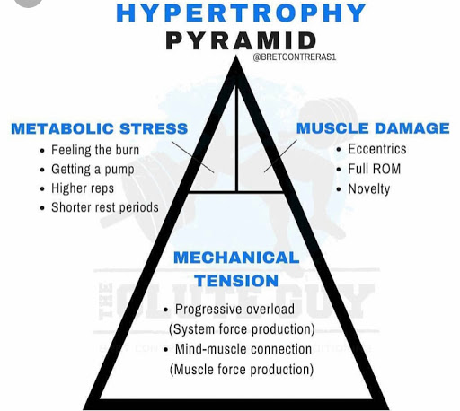 Gym «CrossFit South Denver», reviews and photos, 2783 W Hampden Ave, Sheridan, CO 80110, USA