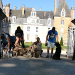 Photo n° 1 de l'avis de Anaïs.A fait le 06/08/2018 à 15:09 pour Chemin des loups à Argentré-du-Plessis