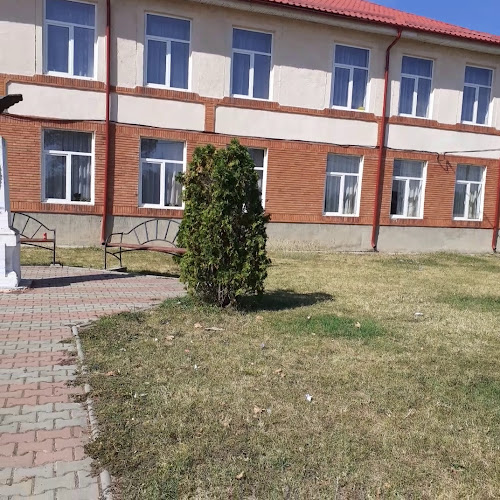 Școala Gimnazială Nicolae Marineanu - <nil>