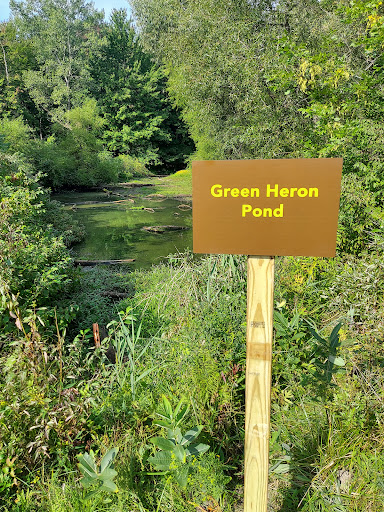 Nature Preserve «Reinstein Woods Nature Preserve», reviews and photos, 93 Honorine Dr, Depew, NY 14043, USA