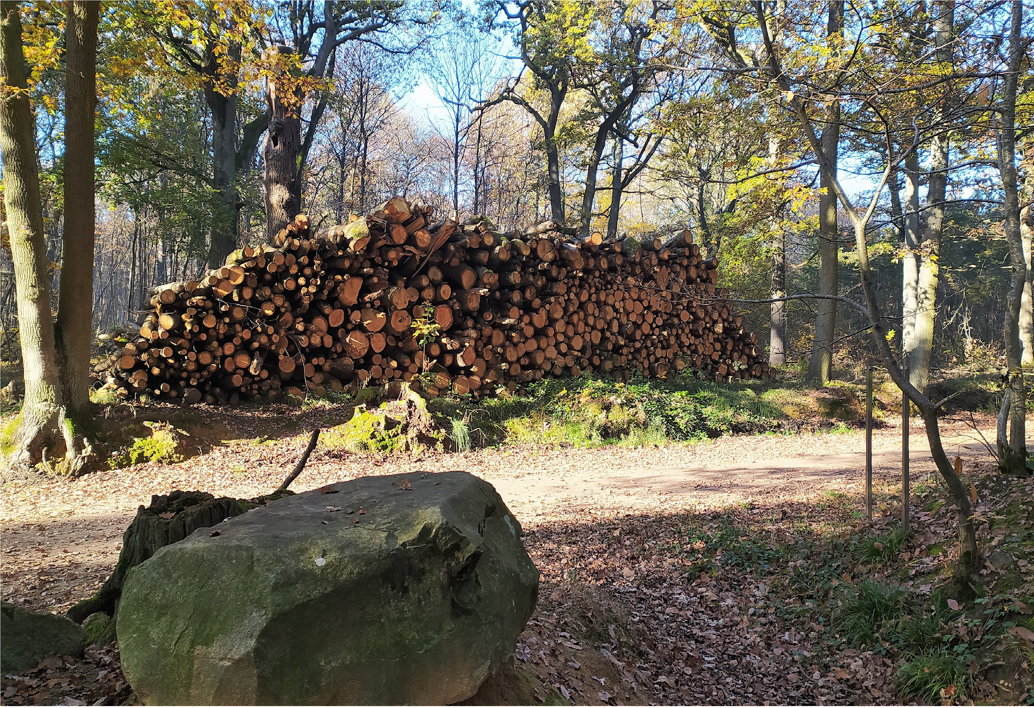 Photo n° 10 de l'avis de François. fait le 21/11/2021 à 12:37