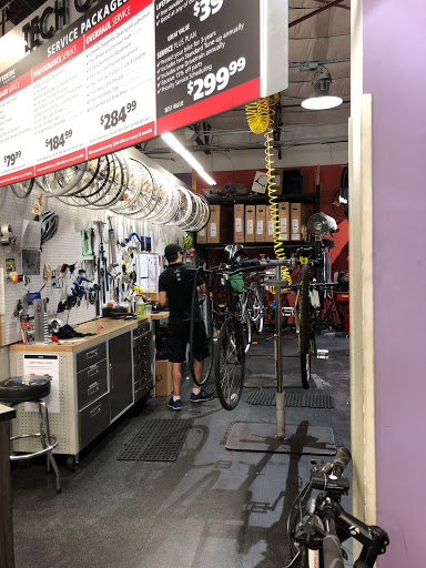 Bicycle Store «Trek Bicycle Store», reviews and photos, 1621 E Sunrise Blvd, Fort Lauderdale, FL 33304, USA