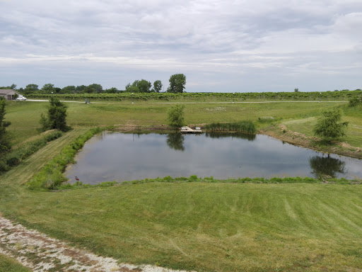 Winery «Two Saints Winery», reviews and photos, 15170 20th Ave, St Charles, IA 50240, USA
