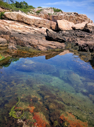 Park «Rafes Chasm Park», reviews and photos, 138 Hesperus Ave, Gloucester, MA 01930, USA