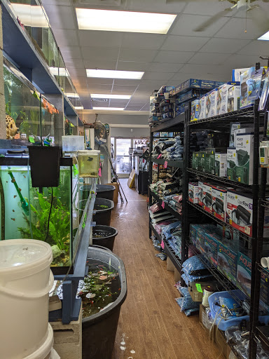 Tropical Fish Store «Age of Aquariums», reviews and photos, 118 N Cedar Ave, Cookeville, TN 38501, USA