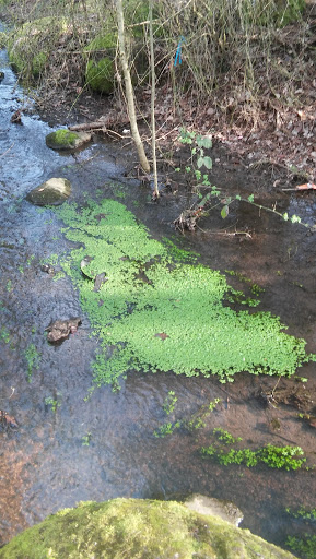 Observatory «Haggart Observatory», reviews and photos, 21 Inskeep Dr, Oregon City, OR 97045, USA