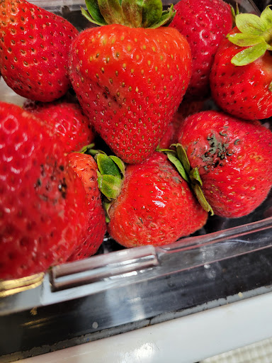 Supermarket «Walmart Neighborhood Market», reviews and photos, 1885 N Pine Island Rd, Plantation, FL 33322, USA