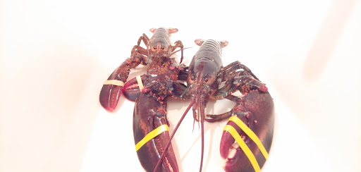 Seafood Market «Parsons Lobsters», reviews and photos, 64 Eagle Lake Rd, Bar Harbor, ME 04609, USA