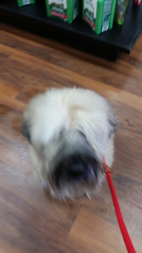 Pet Store «Pet Valu», reviews and photos, 2290 Central Park Ave, Yonkers, NY 10701, USA