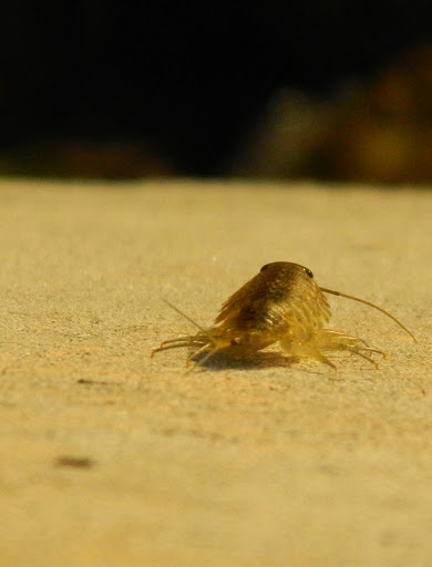 Marina «Fort Pierce City Marina», reviews and photos, 1 Avenue A, Fort Pierce, FL 34950, USA