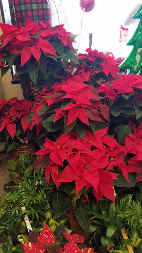 Florist «Dakota Floral Inc», reviews and photos, 13704 Co Rd 11, Burnsville, MN 55337, USA