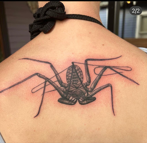 Explore male forearm tattoos ideas, creative tattoo ideas in Saint Augustine, available at Ms. Deborahs Fountain of Youth Tattoo & Body Piercing