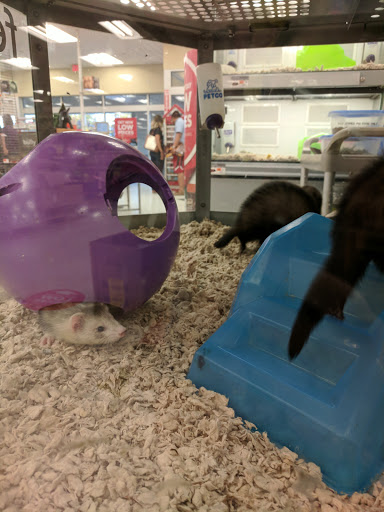 Pet Supply Store «Petco Animal Supplies», reviews and photos, 861 Williston Rd, South Burlington, VT 05403, USA