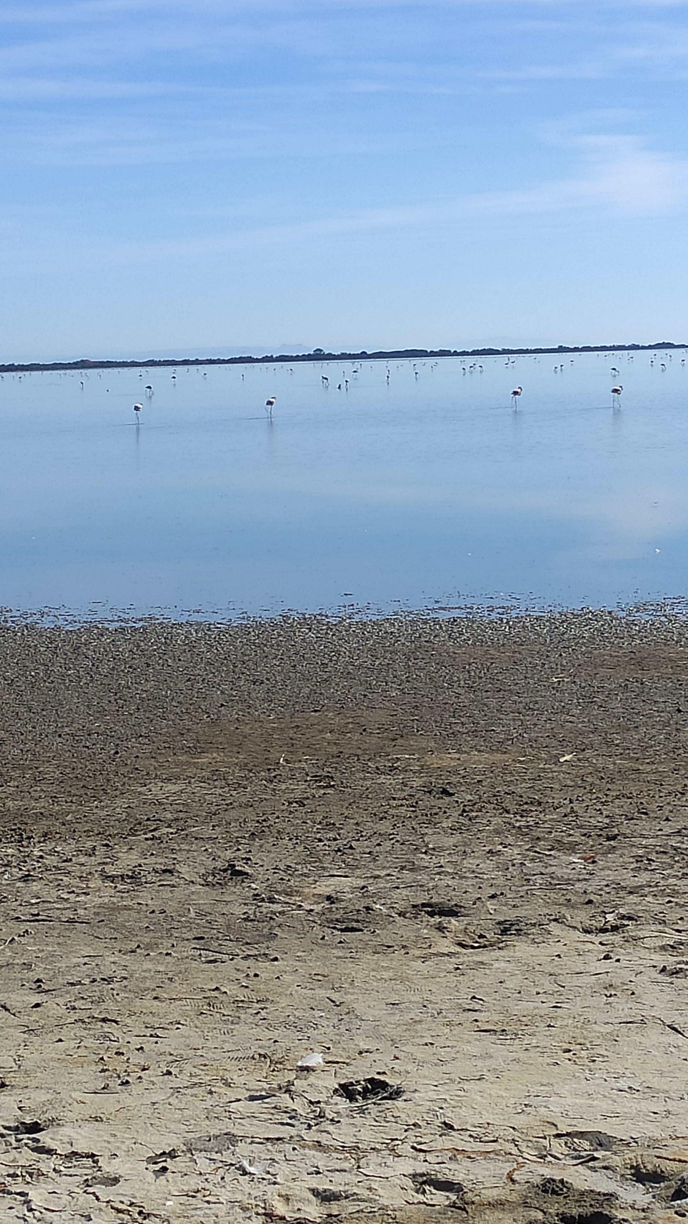 Photo n° 1 de l'avis de Alain.V fait le 19/08/2020 à 16:43