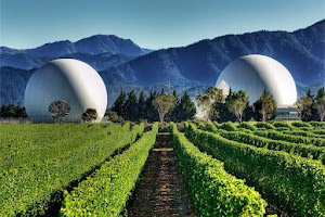 Discovery Wine Tours - Marlborough, Blenheim, Havelock, Picton, Renwick