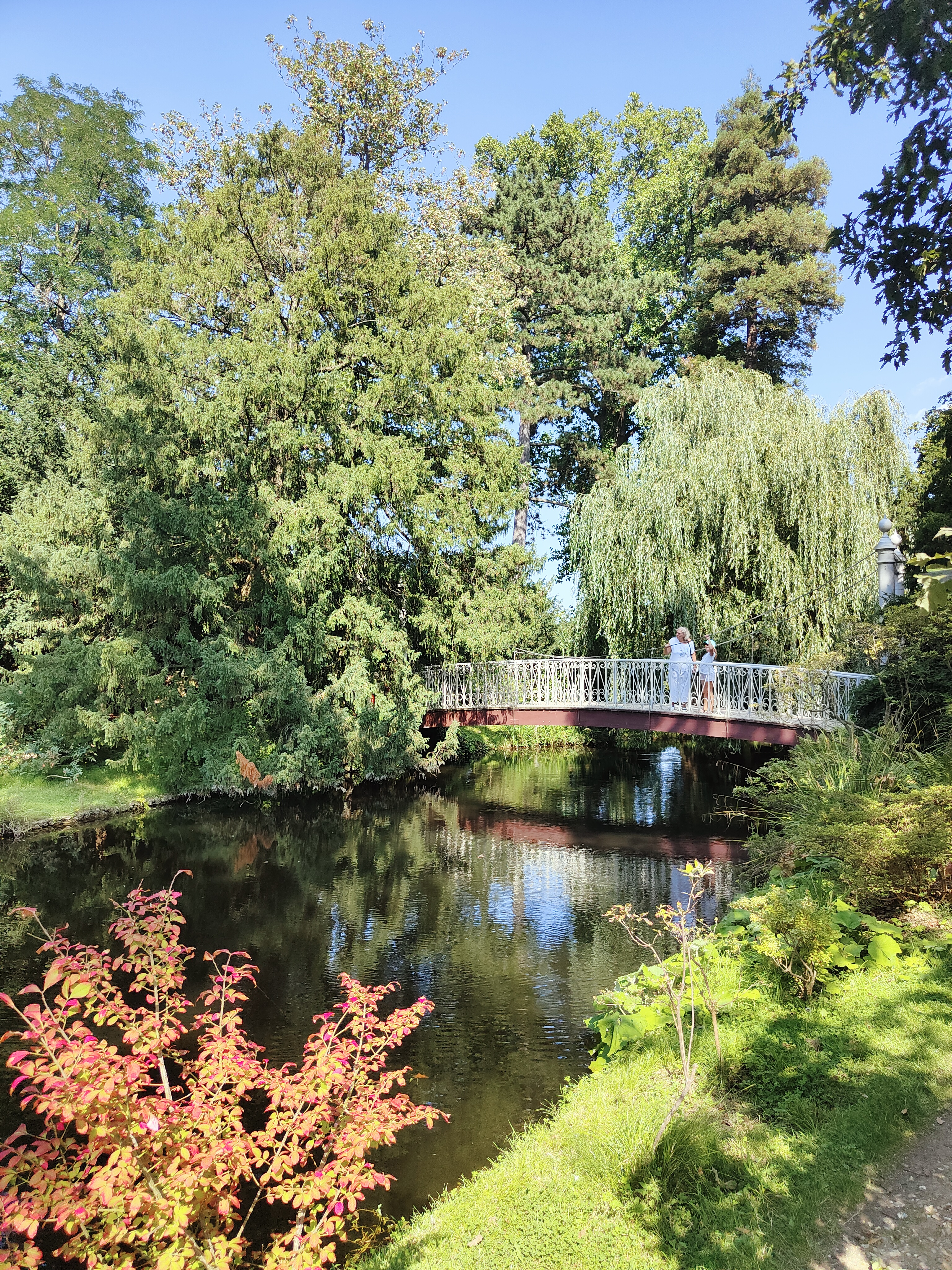 Photo n° 4 de l'avis de Laurent.a fait le 25/08/2023 à 10:45