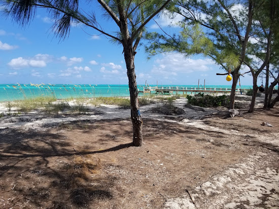 Horse Stable beach