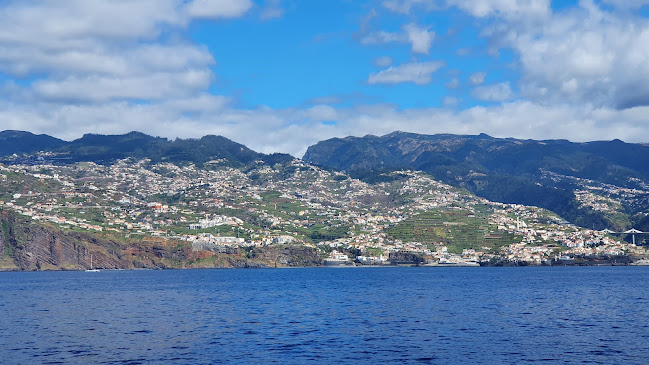 VMT Madeira - Catamaran Trips - Agência de viagens