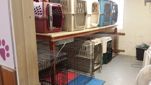 Paw-sh Grooming Salon & Boarding