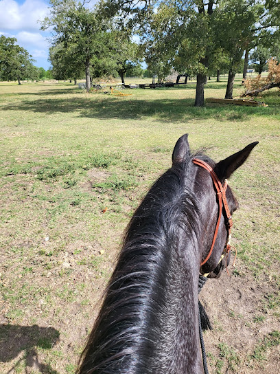 VHR Ranch Services, Horse Training, Riding Lessons & Horseback Riding