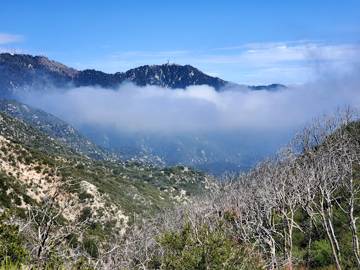 Observation Deck «Inspiration Point», reviews and photos, Echo Mountain (Mount Lowe Railroad Trail), Altadena, CA 91001, USA