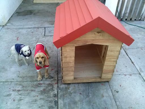 Casas de Madera Para Mascota (pet house)