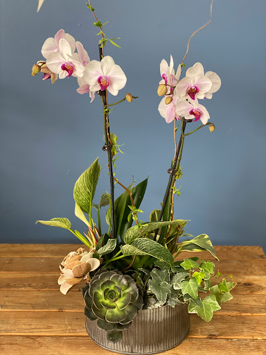 Florist «Botany Bay Florist», reviews and photos, 6068 Roswell Rd, Sandy Springs, GA 30328, USA