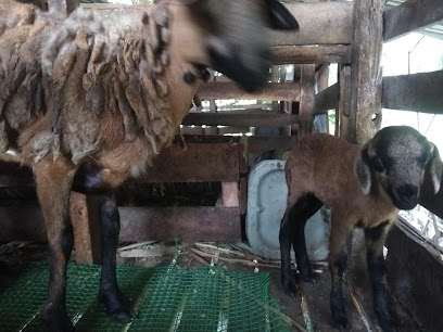 Rosli Goat Farm