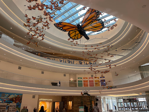 Shopping Mall «Mall of America», reviews and photos, 60 E Broadway, Bloomington, MN 55425, USA