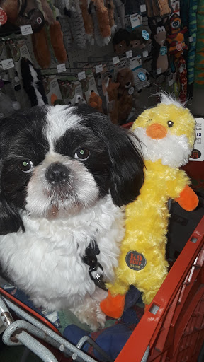 Pet Supply Store «Pet Supermarket», reviews and photos, 2649 E Gulf to Lake Hwy, Inverness, FL 34452, USA