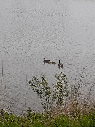 Park «Cannonball Ridge Park», reviews and photos, 2087 Northland Ln, Yorkville, IL 60560, USA