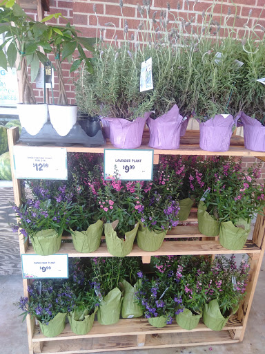 Health Food Store «Sprouts Farmers Market», reviews and photos, 110 W Sandy Lake Rd, Coppell, TX 75019, USA